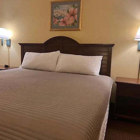 Villa 1604 N Ocean Blvd, 0703 - Ocean Front Sleeps 6 à Myrtle Beach Extérieur photo